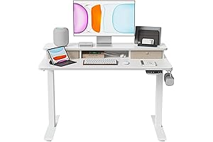 BANTI 40x24 Inch Electric Standing Desk with Drawer