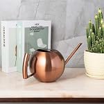 IMEEA Watering Can for Indoor Plants Stainless Steel Watering Can with Long Spout 45oz/1.3L (Copper Color)