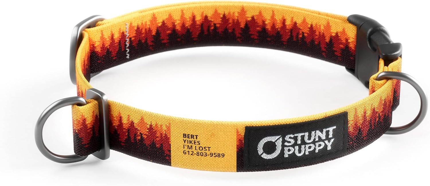 Stunt Puppy Personalized Pines Orange Dog Collar with Custom ID, Polyester Webbing, Duraflex Buckles, Made in USA (Small)
