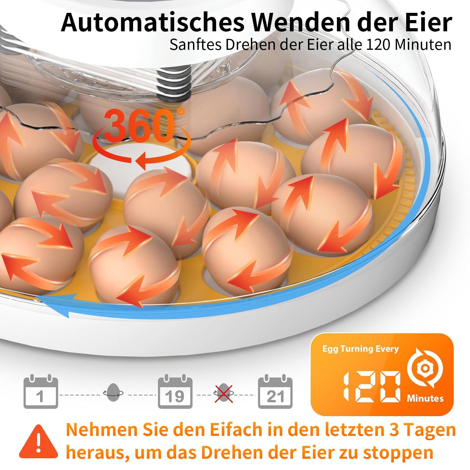 Brutautomat Vollautomatisch, Inkubator Hühner 18-60 Eier für mit Automatischer Temperatur Feuchtigkeitsregelung, Inkubator Brutmaschine für Hühner Wachteln Enten und Geflügel Eierbrüter | Einfach zu bedienen und hohe Schlupfrate, Präzise konstante Tempera
