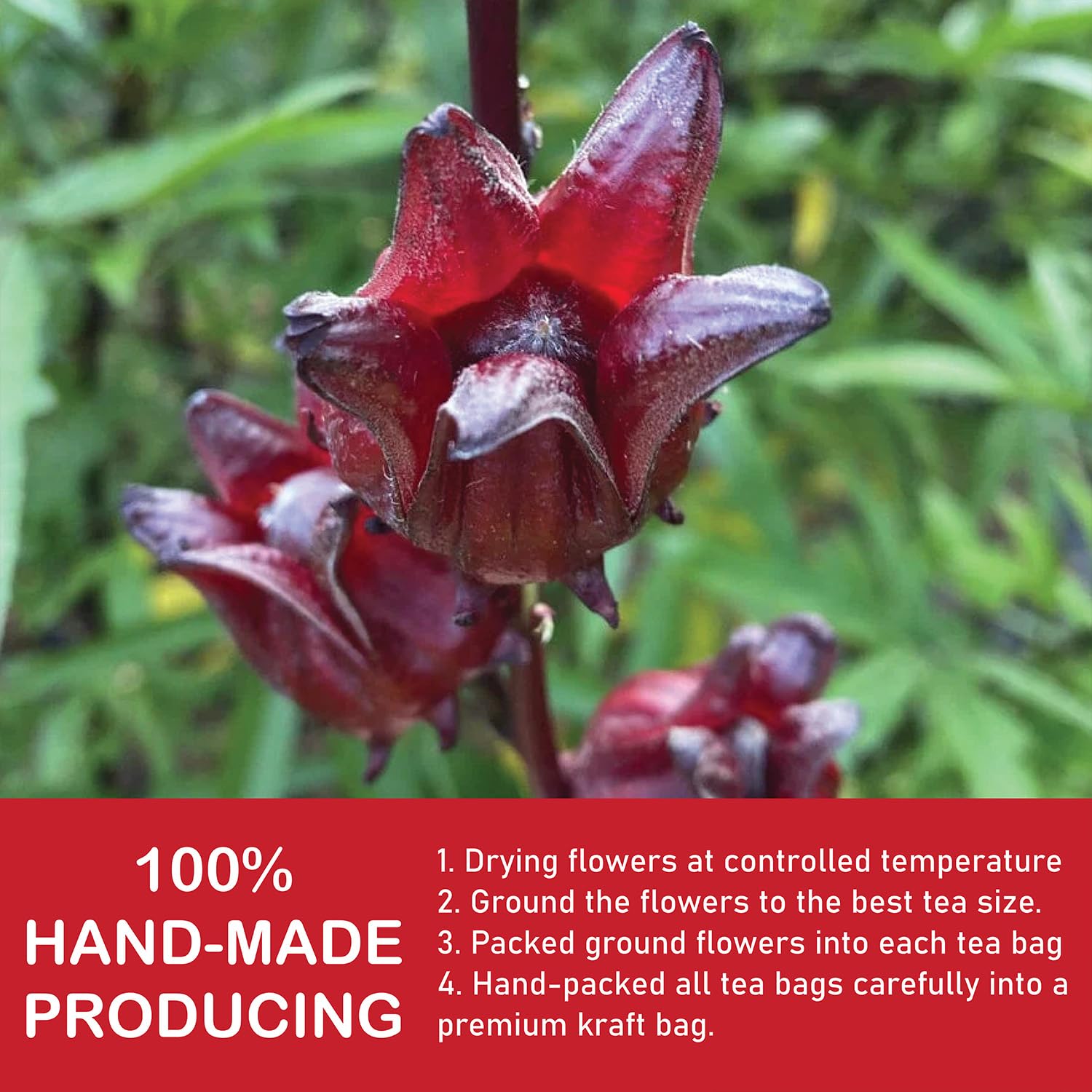 Premium Hibiscus Flowers Tea Bags - 100% Natural, Handmade, Pure Herbal Tea - No Sugar, Caffeine, or Gluten - Vegan Friendly (1) - Image 7