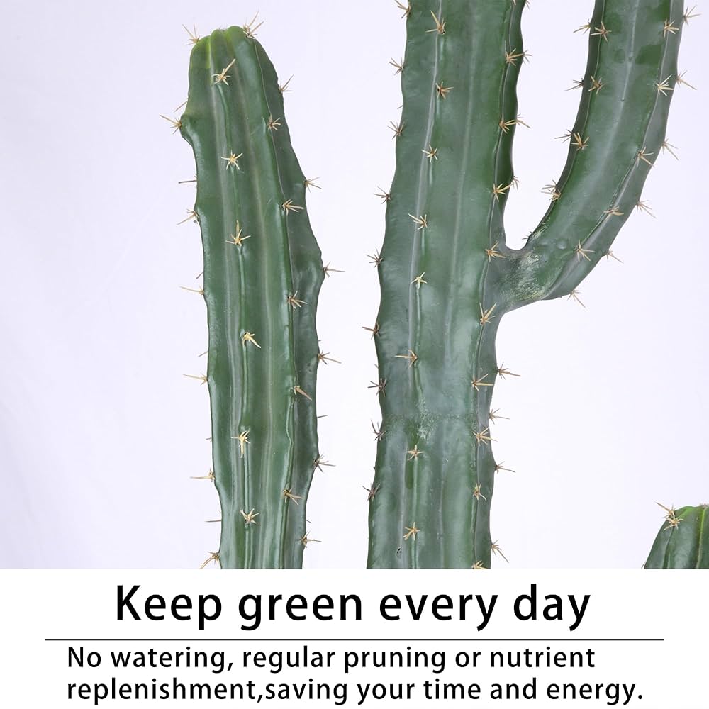 Nala ナラ　Cactus all in one Nala ナラ Cactus all in one Opuntia Ficus-indica 'burbank