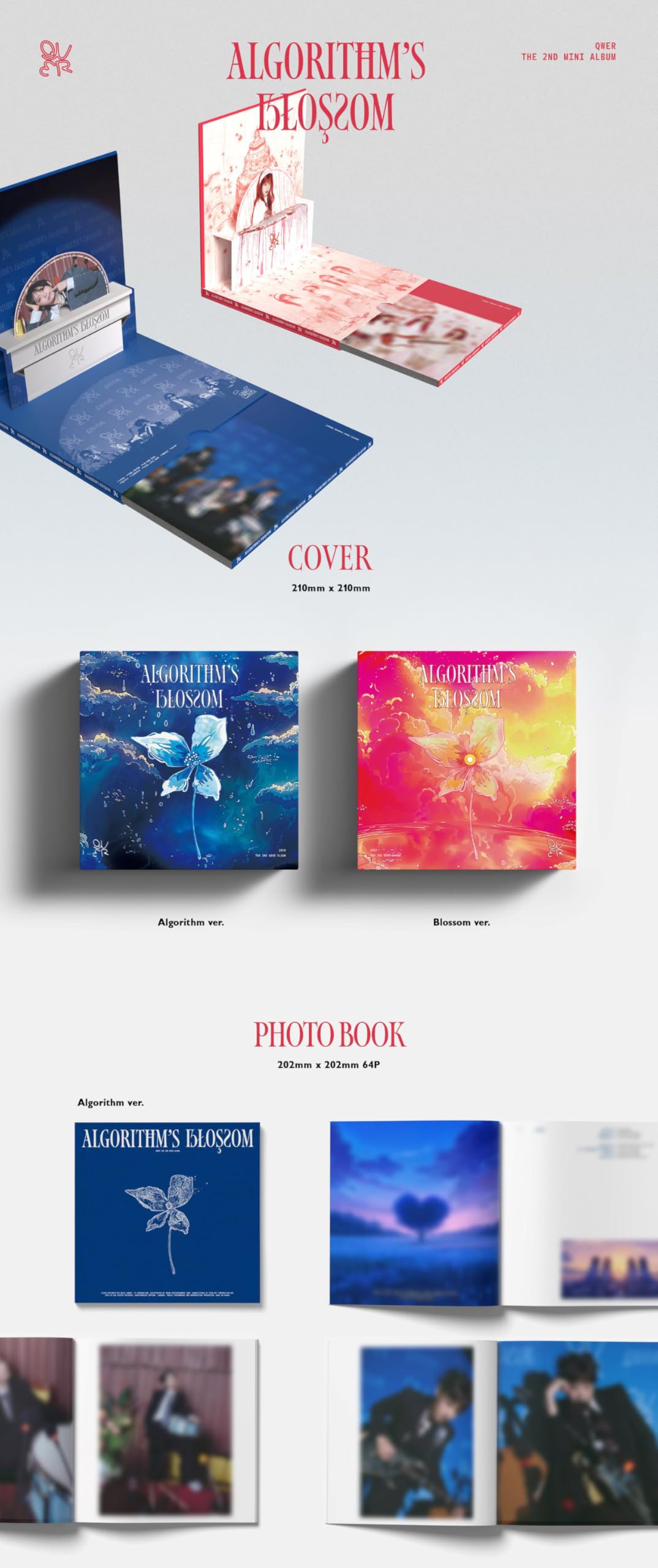 QWER Algorithms Blossom シヨン トレカ ヨントン QWER Algorithms Blossom シヨン トレカ ヨントン