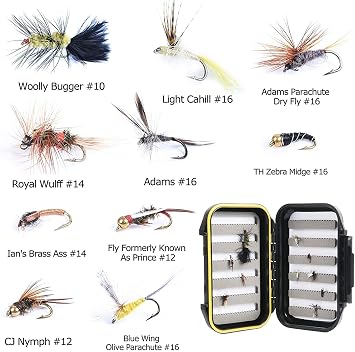 MAXIMUMCATCH Maxcatch Amigo Fly Fishing Rod and Reel Combo 9FT 4-Piece 4/5/6/7/8 Weight Complete Fishing Outfit