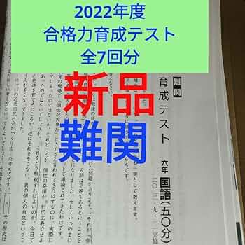 日能研6年　2022年度前期育成テスト(全17回分) 日能研6年 2022年度前期育成テスト(全17回分) 6年生 第17回(