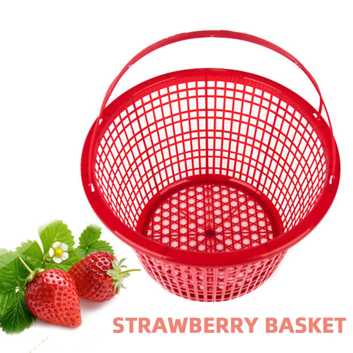 Cestino Rotondo per Raccolta Frutta 10 Pezzi in Plastico Rosso