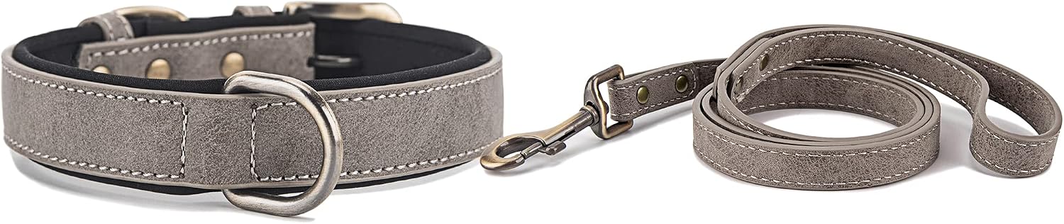 Soft Neoprene Padded Dog Collar with Leash, Stylish and Adjustable Pet Collars, Comfortable and Durable Microfiber Dogs Collar for Small…
