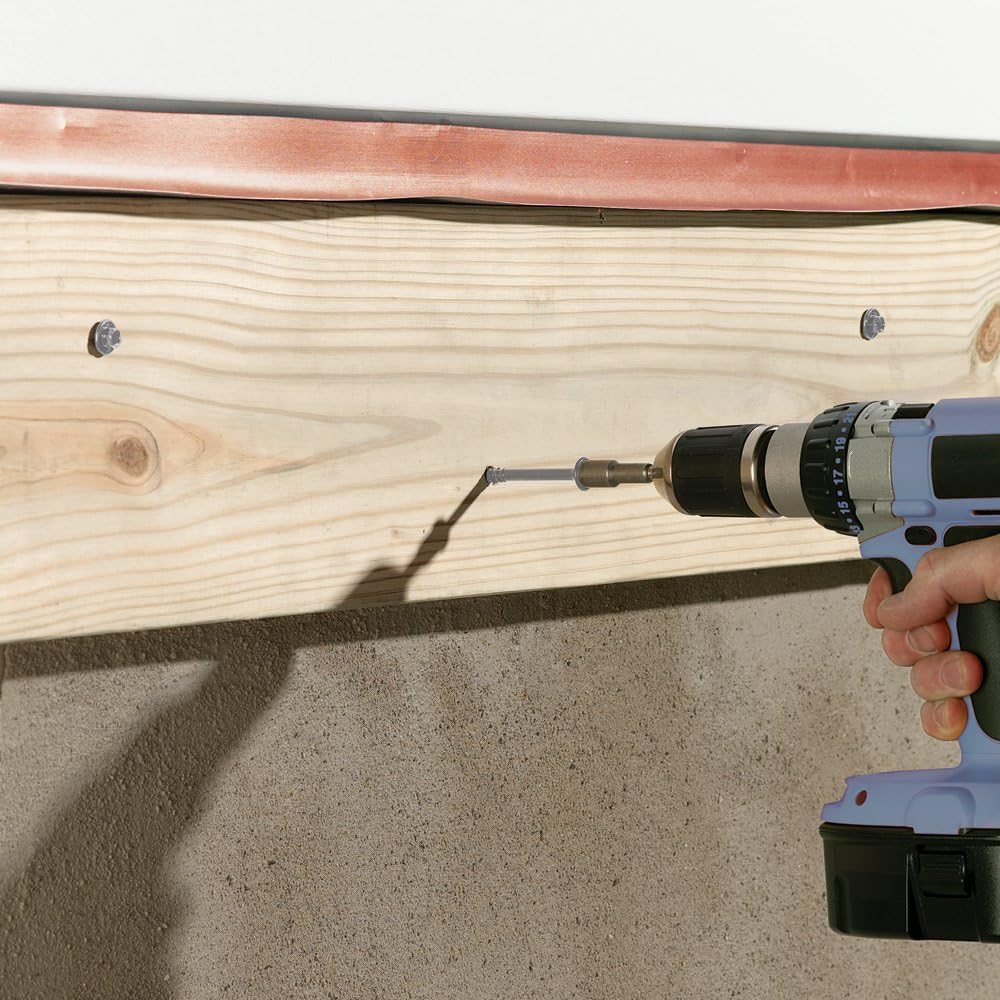 FastenMaster FMLL005-50 LedgerLOK Ledger Board Fastener, 5 Inches, 50-Count