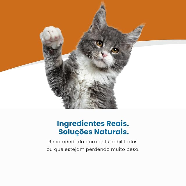 Foto 4 de 8 de Vet Life Natural Diet Cat Convalescence