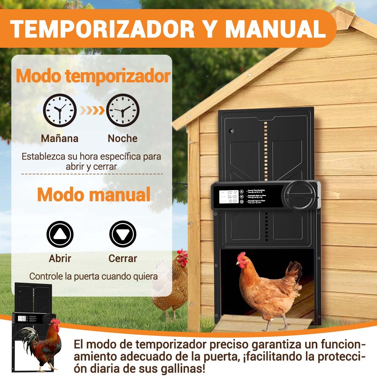 Puerta Gallinero Automatica Grande con Pantalla LCD, Puerta Automática Gallinero con Función Manual y Temporizador | Anti-atrapamiento, Puerta Gallinero Alimentada por Batería