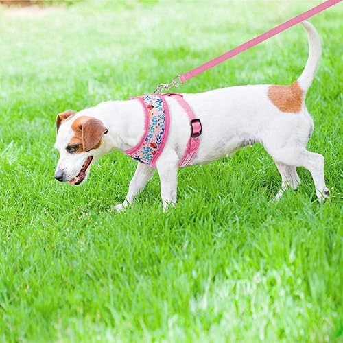 Miniatura 500 de Pupteck - Arnés para perro, chaleco de malla suave con relleno cómodo para cachorros, perros y gatos, evita los tirones, color negro y blanco