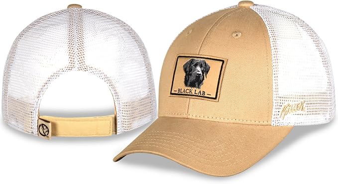 Amazon.com: Black Labrador Retriever 