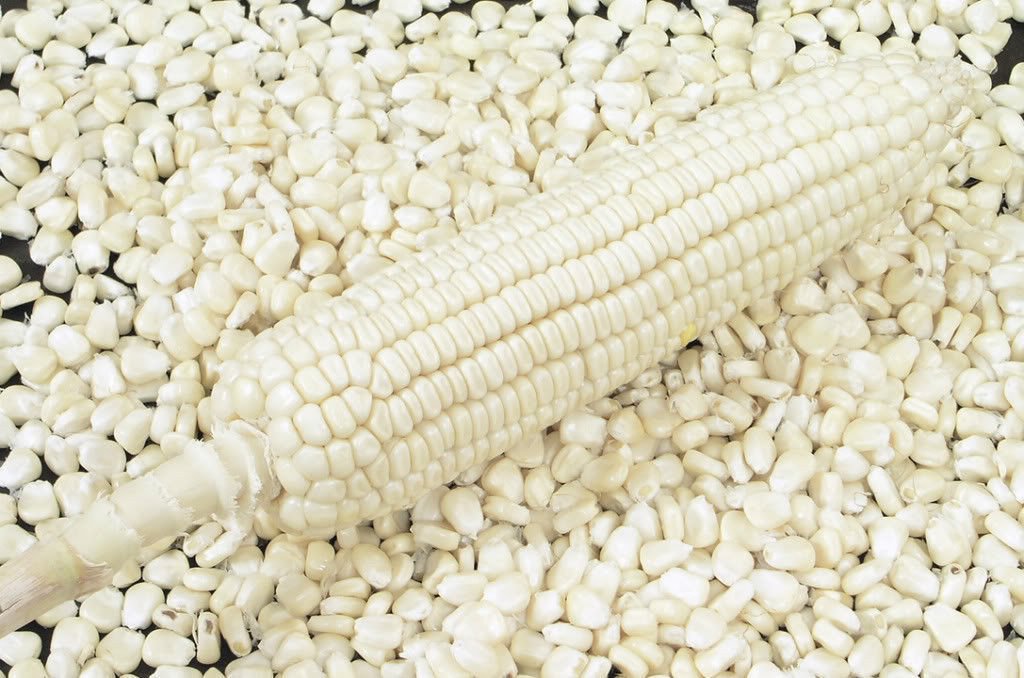 Nature Valley WHITE SWEET CORN Truckers Favorite Vegetable 10 Seeds (B07FVVGJXM) Amazon Price History, Amazon Price Tracker