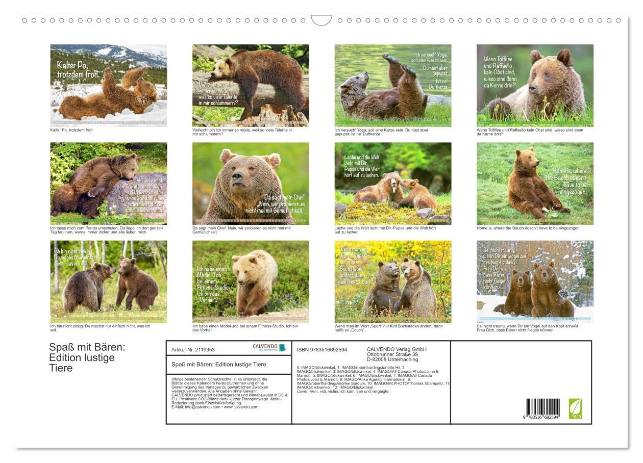 Spaß mit Bären: Edition lustige Tiere (Wandkalender 2026 DIN A2 quer), CALVENDO Monatskalender: Bären: Meister Petz, freche Sprüche und humorvolle Tierporträts (CALVENDO Tiere)