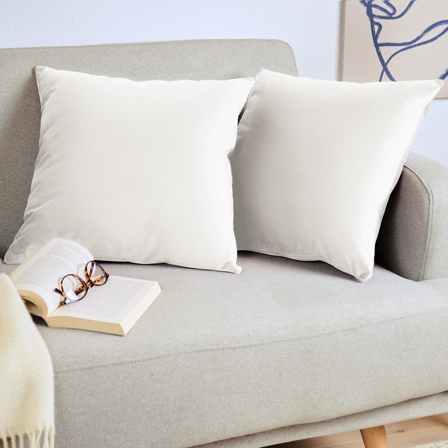 Blumtal Set di 2 Federe Cuscini Divano 40x60 cm in Velluto, con Chiusura Lampo Invisibile, Eleganti Copricuscini Divano in Morbido Velluto,Taglia 40 x 60, Bianco