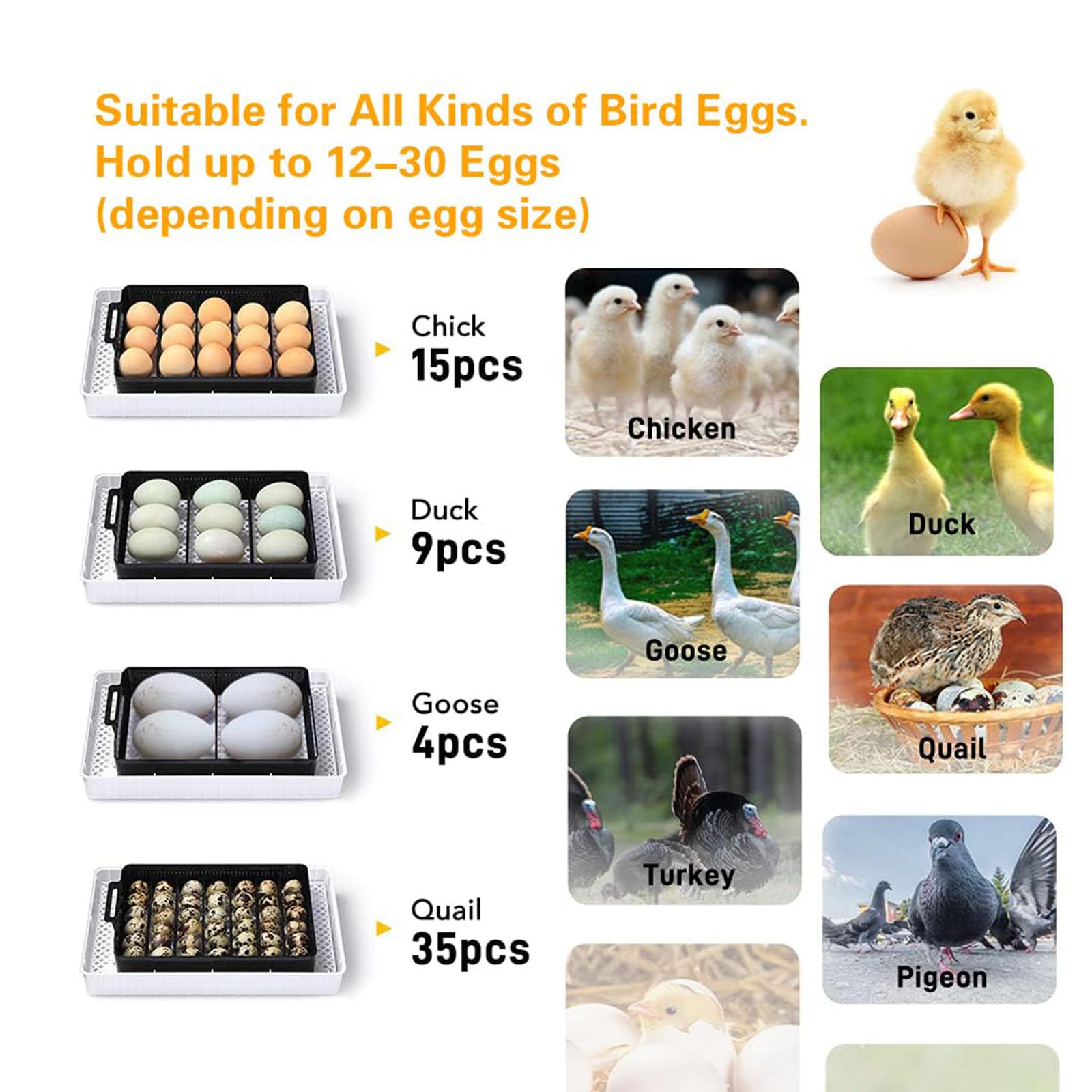 Incubadora automática de huevos para 12 huevos, incubadora digital con giro de huevos para incubar pollos, patos, gansos, codornices y otros pájaros