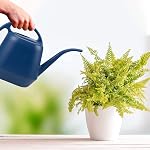 Fasmov Watering Can Plastic 4 Litre Lightweight Water Sprayer Watering Bottle for Garden Outdoor House Flower Bonsai Plant (Blue)