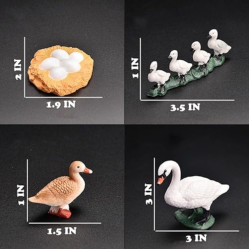 Miniatura 3 de Momoplay Juguetes de ciclo de vida, juguetes de cisne blanco, juego de ciclo de vida de animales de cisne blanco, ideal para aprender, adornos de