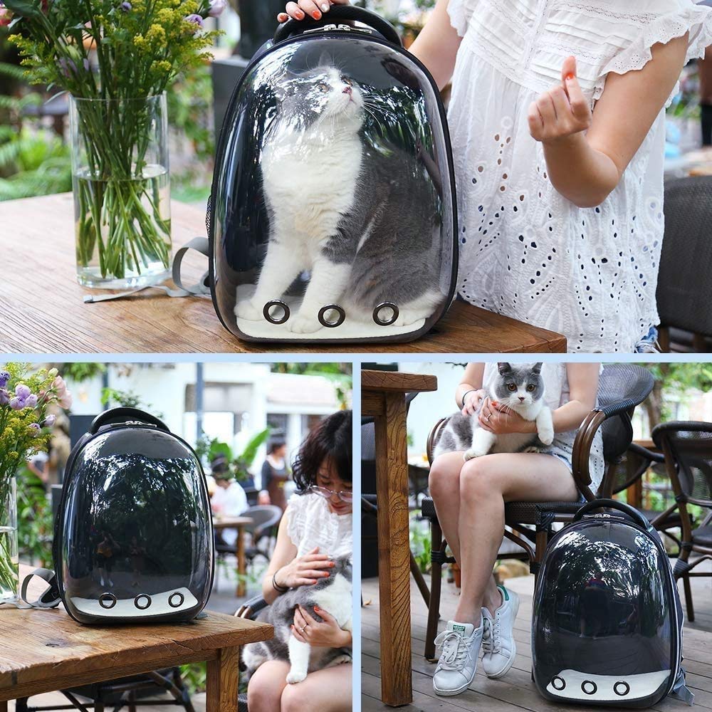 Katze Rucksack, große Haustierträger-Rucksack-Blase, Hunde-Rucksack-Träger für kleine Hunde, tragbare Tragetasche für Katze & Kaninchen, Fluggesellschaft genehmigt wasserdichte Haustier-Tragetas