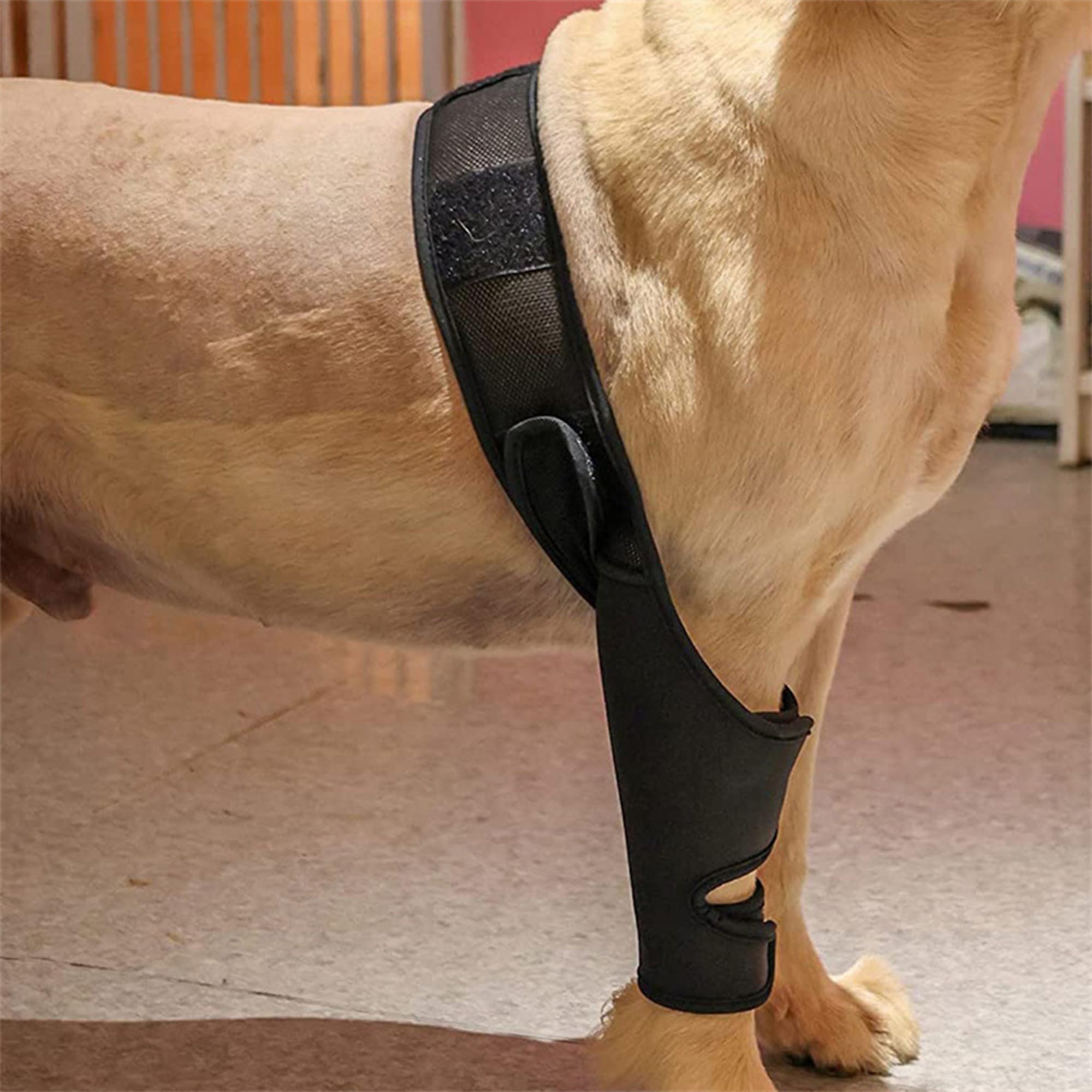 SEABABOO Dog Recovery Sleeve Wound Protection Suits for Dogs Elbow Pads for Dogs Elbow Bandage Protector Wound Protection Suits for Hot Spots Wounds Bandages Anti Licking for Dogs (Black - Image 4