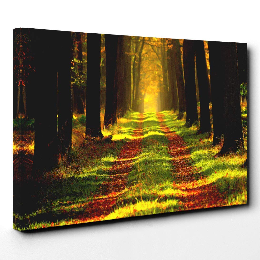 Landscape Forest Woodland Path Canvas Print | Gallery Wrapped 30mm Frame Wall Art | 20x14 inches | Ready to Hang | Modern Landscape Picture | Living Room Bedroom Lounge Office