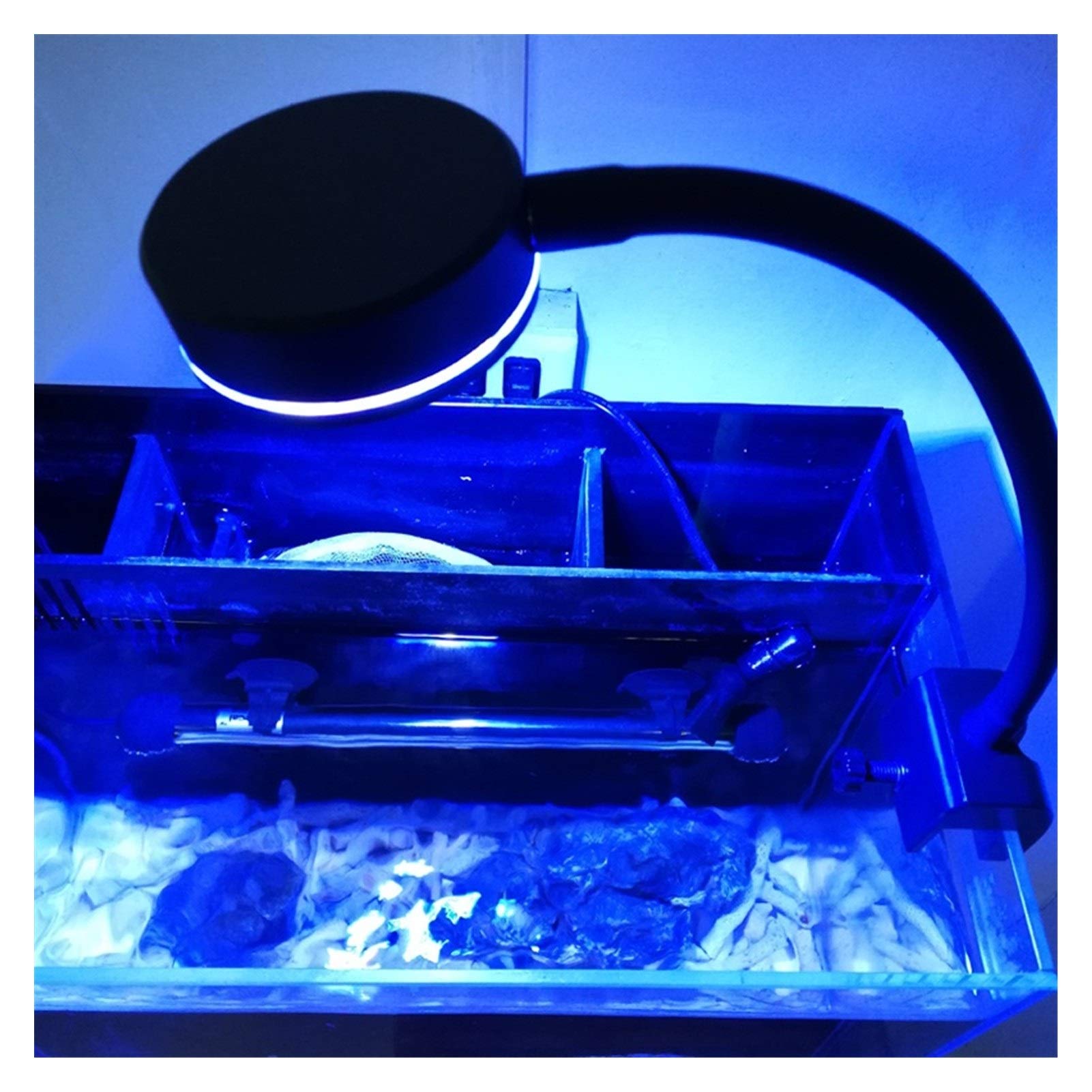 Lumière d'aquarium Lumière LED pour Aquarium 18W Lumières d'eau de mer 3W Puces Éclairage d'eau salée Lampe à Clipser Récif de Corail Marin Réservoir de Poissons Lever du Soleil Co