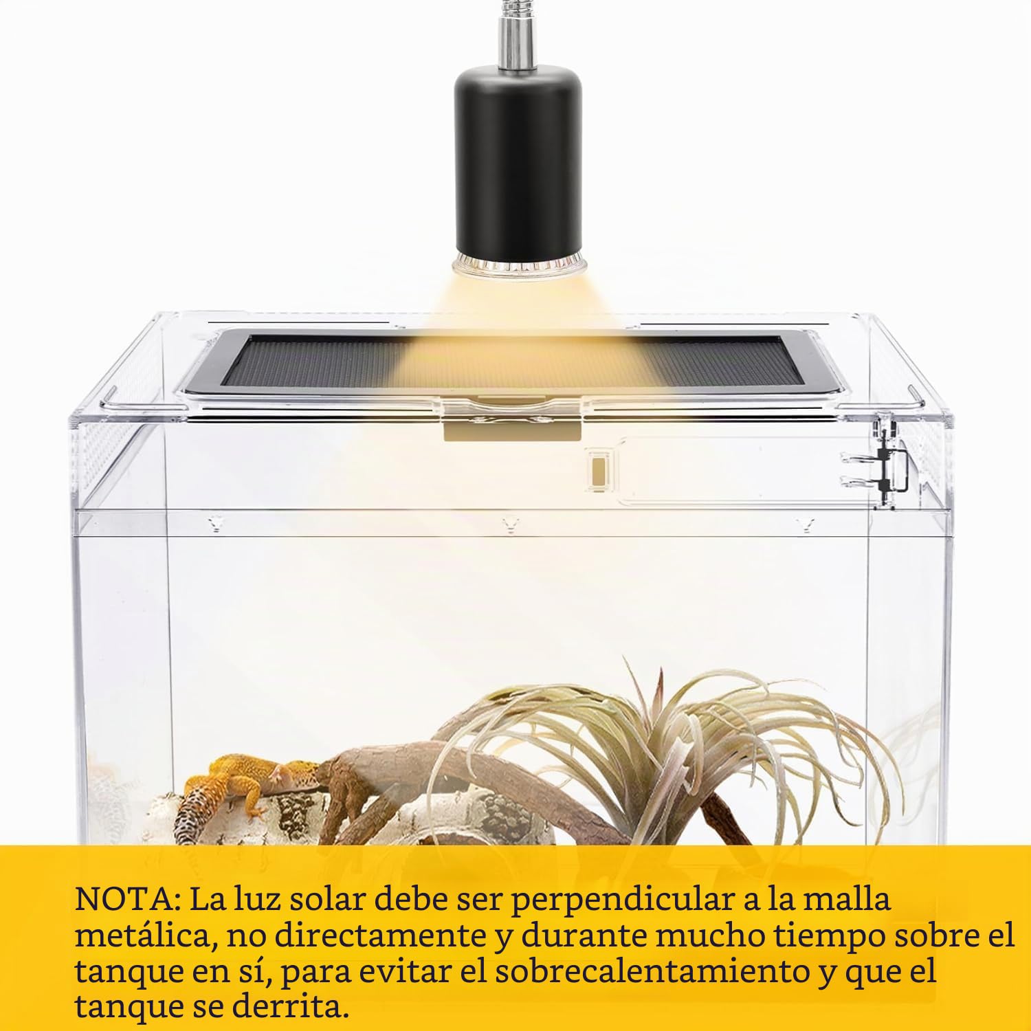 Caja de Alimentación de Insectos, Caja de alimentación para Reptiles, Estuche de Cría de Reptiles para lagartos, arañas, Ranas de Cuernos y escarabajos,Terrario para Reptil/Anfibios (12 * 7 * 9in)
