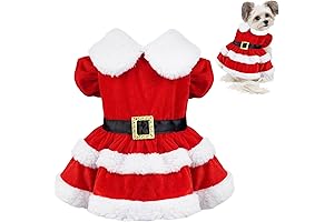 Dog Christmas Dress: Festive Wear for Your Canine Companion