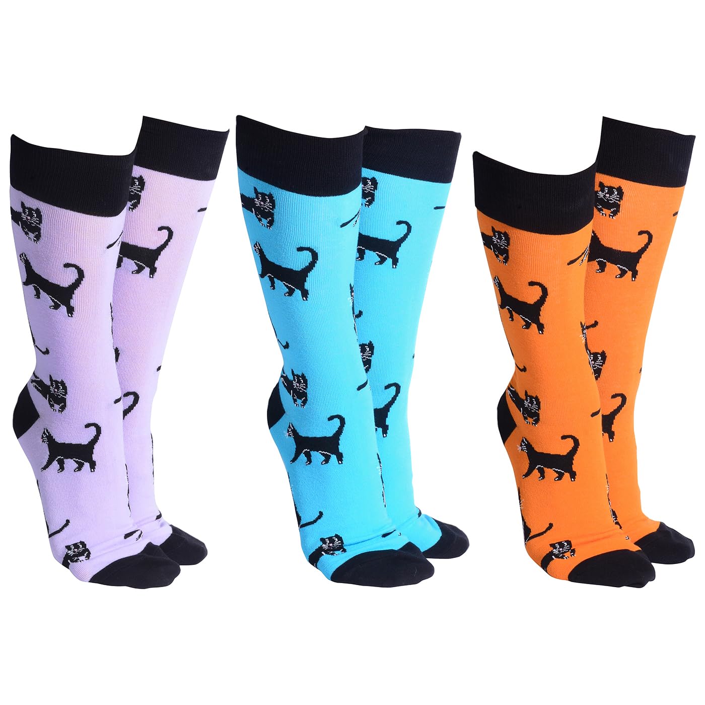 Joe Davies Sock Society Cat & Dog Collection of Funky and Fun Socks - Westie, Paw Prints, Kitty Kat & More! (UK, Alpha, One Size, Regular, Regular, Black Cat)
