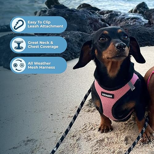 Vista 96 de Best Pet Supplies Voyager Step-in Air - Arnés de malla para todo tipo de clima, reflectante, antitirones, para perro y gato pequeño y mediano, Arnés