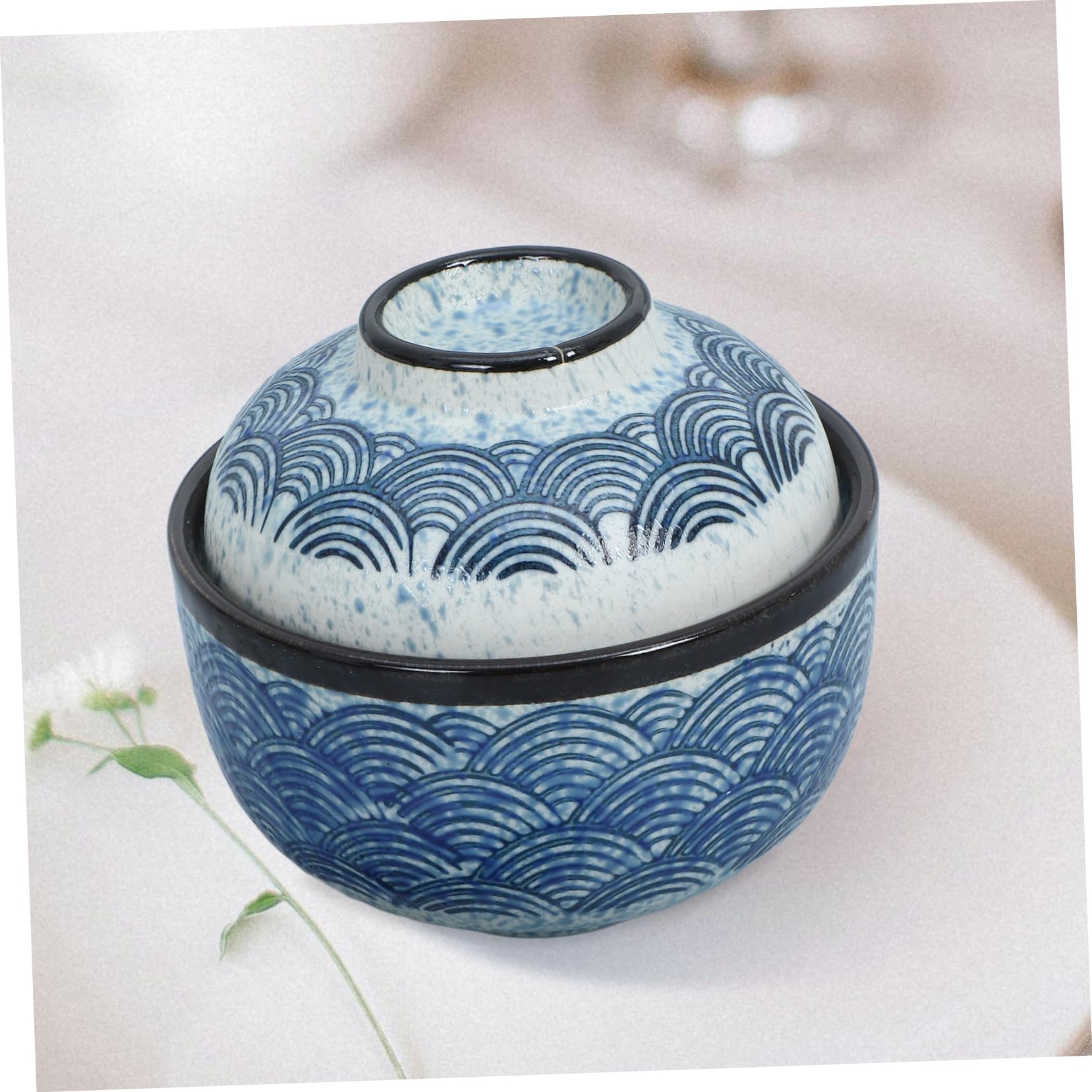 MISO SCHüssel-Set aus Keramik, mikrowellengeeignet, 5 Eintopftöpfe aus Steingut mit Deckel, kleine Nudel- und Suppenschalen für Ramen, Reis und Dampfgaren, perfekt für den Haushalt