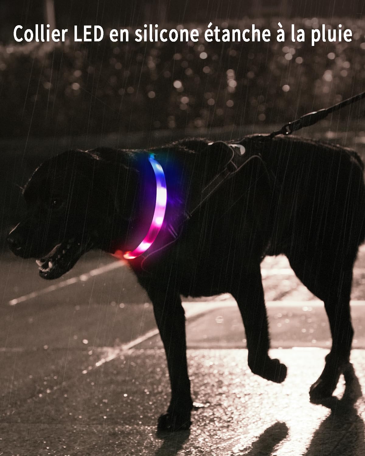 Collier Lumineux LED Corps De Cochon Multicolore - Flashing Blinky Necklace - Fête