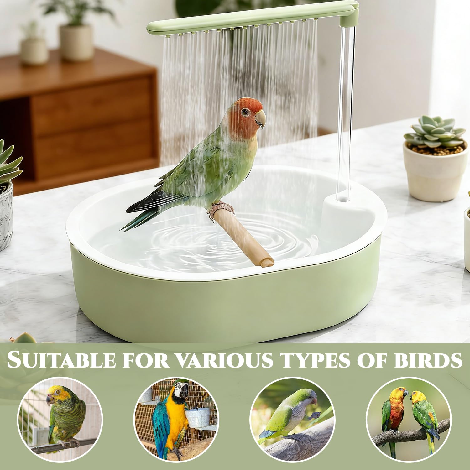 Douche à Oiseaux, Douche pour perroquets, Douche pour Oiseaux, Bain Automatique pour Oiseaux, Baignoire Automatique pour Oiseaux, Baignoire Automatique Oiseaux, pour Perruches, Calopsittes