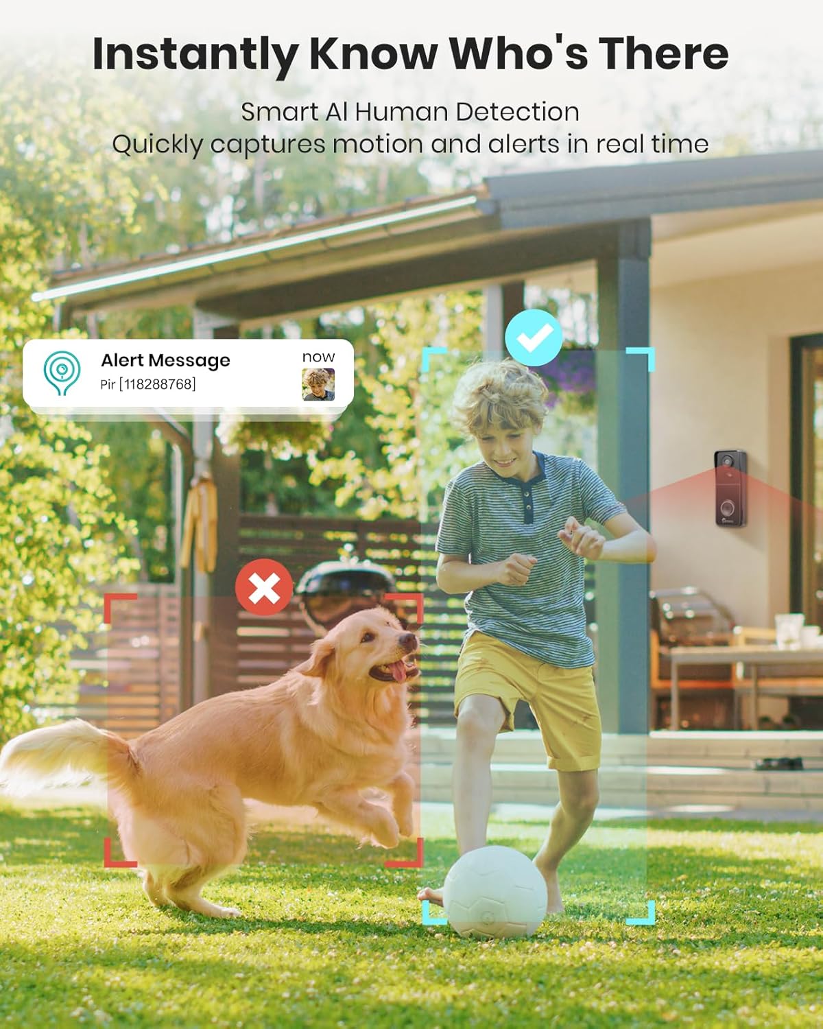Image showing a child playing with a dog in a yard, with an 'Alert Message' notification and detection zones highlighted