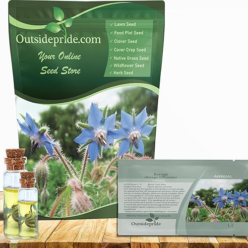 Outsidepride Semillas de borraja azul para plantar semillas de hierbas anuales, tolerantes a la sequía con flores en forma de estrella, atraen