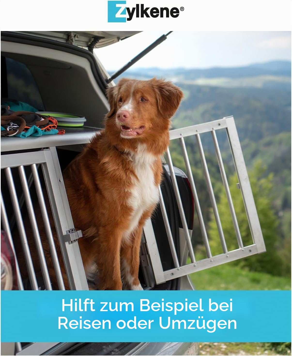 Zylkene Ergänzungsfuttermittel | Hunde über 15 kg | Entspannend bei Unwohlsein | 100 Kapseln á 450 mg