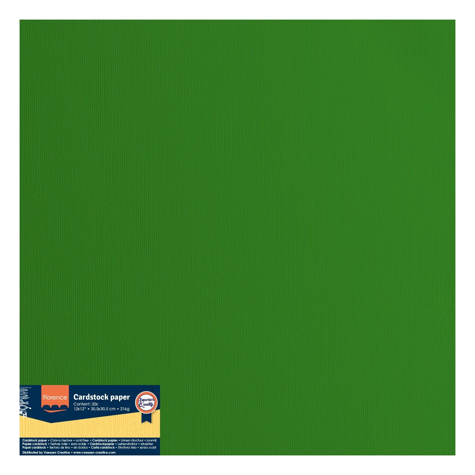 Cartoncino Florence Testurizzata - Materiali Per Biglietti Colorati 30,5 X 30,5 Cm - Frosting - 20 Fogli - Carta Per Scrapbooking, Biglietti, Fustellatura E Progetti Con Carta - 216 Gsm - Verde