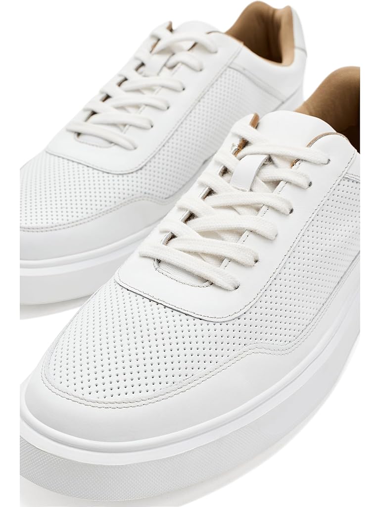 Bone Andre Assous Andrew