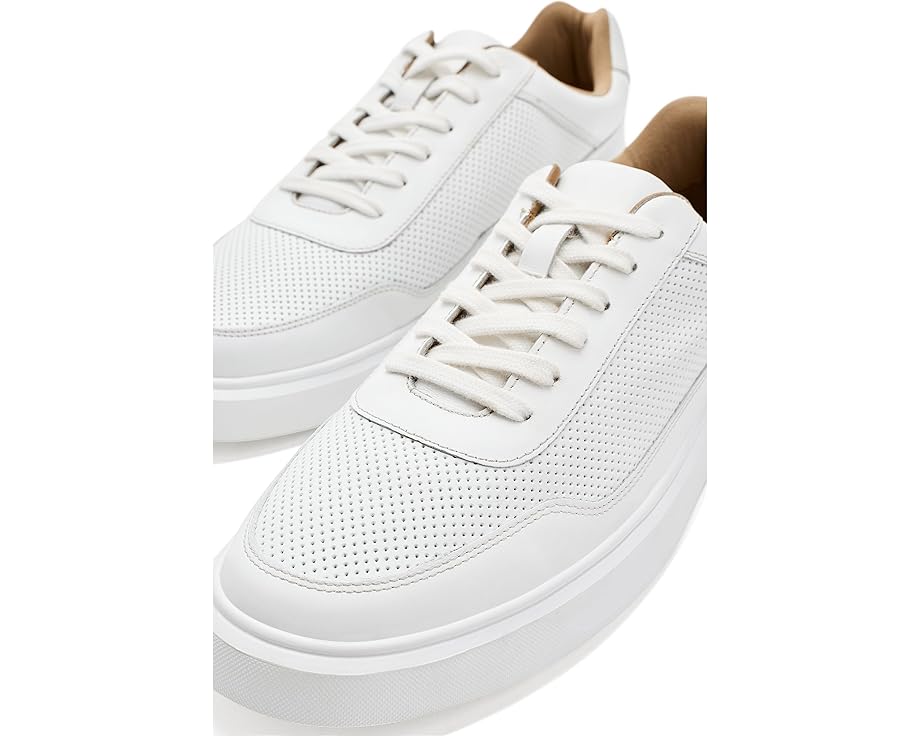 Andre Assous Andrew - Right View