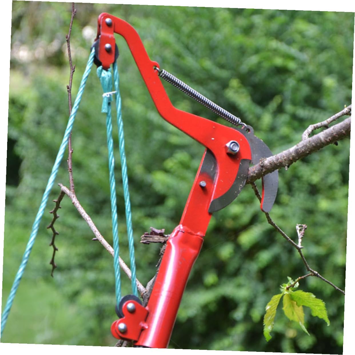 Extendable Tree Pruner with Rope, Labor-saving High Branches Trimmer and Fruit Harvester Clipper for Gardening and Tree Pruning