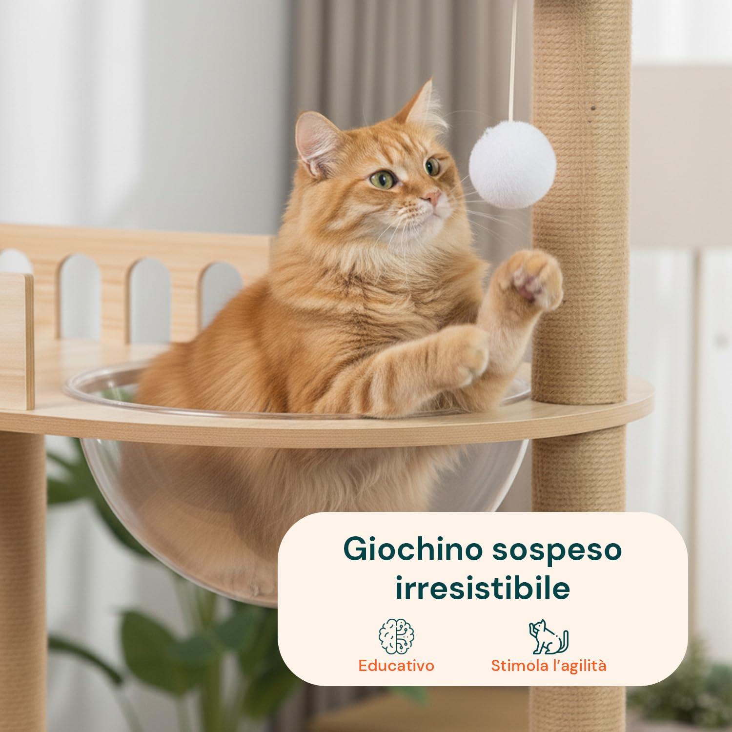 Avilia - Tiragraffi per Gatti Multilivello con Cuccia, Piattaforme in MDF e Colonne in Sisal, H135 cm, con Amaca Trasparente e Pallina Pendente, per Gioco, Relax e Osservazione