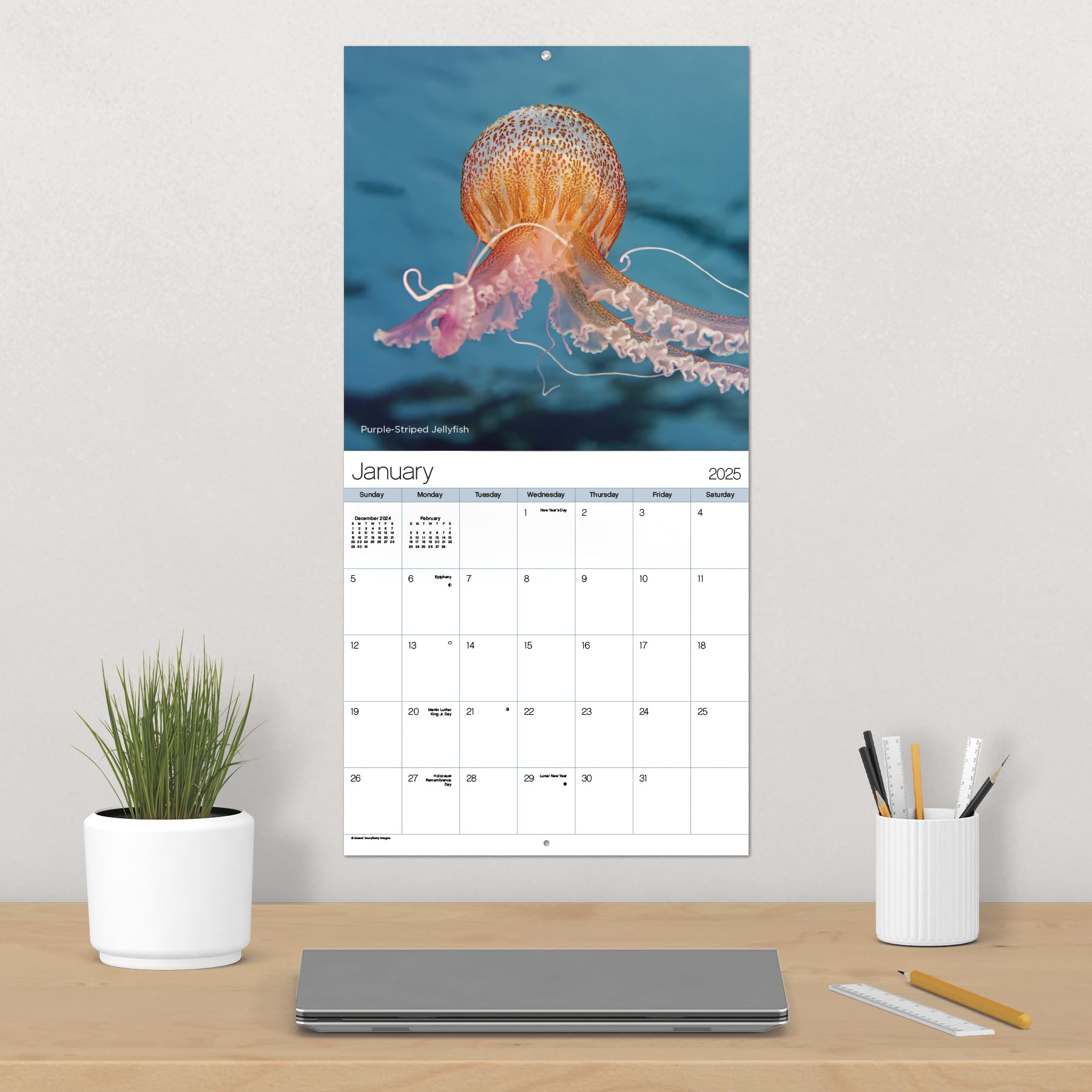 Calendario de pared 2025 Ocean Life