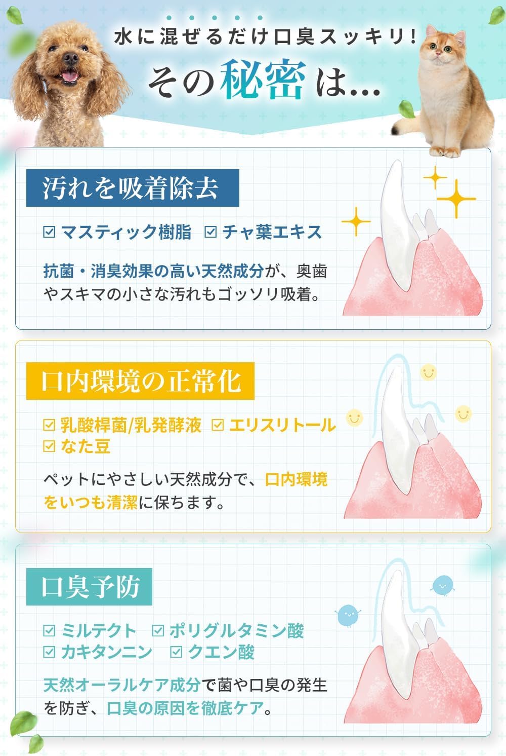 Amazon.co.jp: Dr．Wantect 犬猫用 液体ハミガキ 口腔ケア