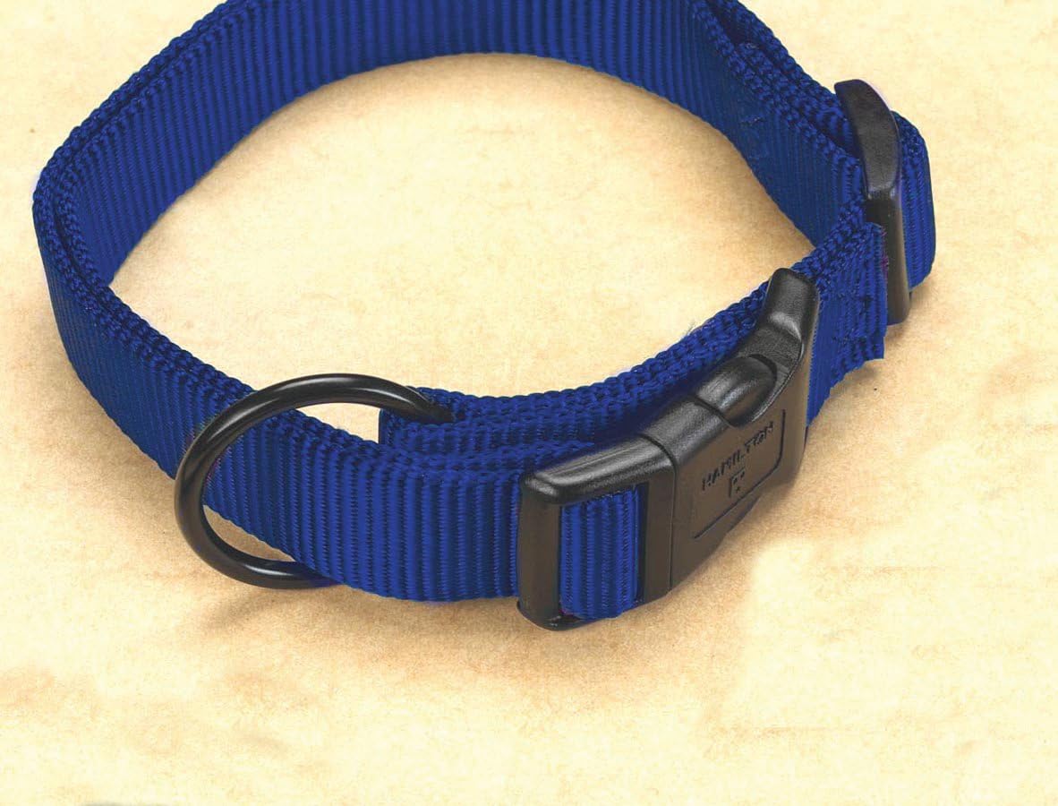 hamilton adjustable dog collar
