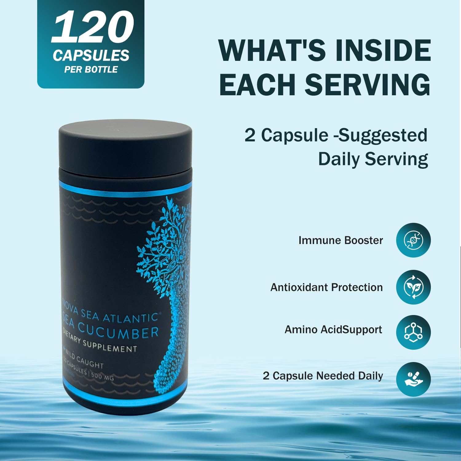 Cetriolo di Mare – Estratto Selvatico di Alta Qualità con Condroitina Fucosilata, Collagene Naturale e Antiossidanti per Supporto Articolare e Pelle (120 capsule)