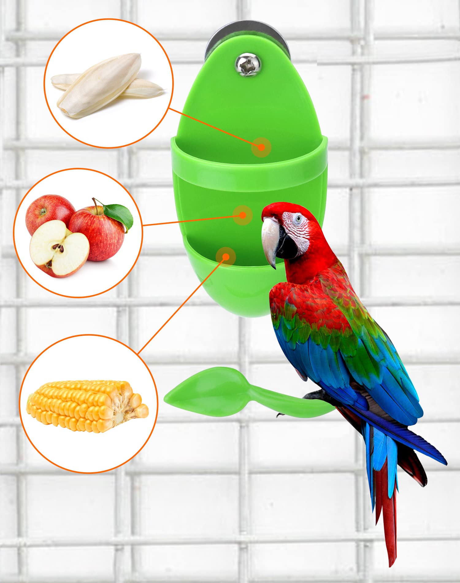 QWORK® 2Pcs Support pour os de seiche Oiseaux avec perchoir, mangeoire à Oiseaux pour mil/Fruits/légumes