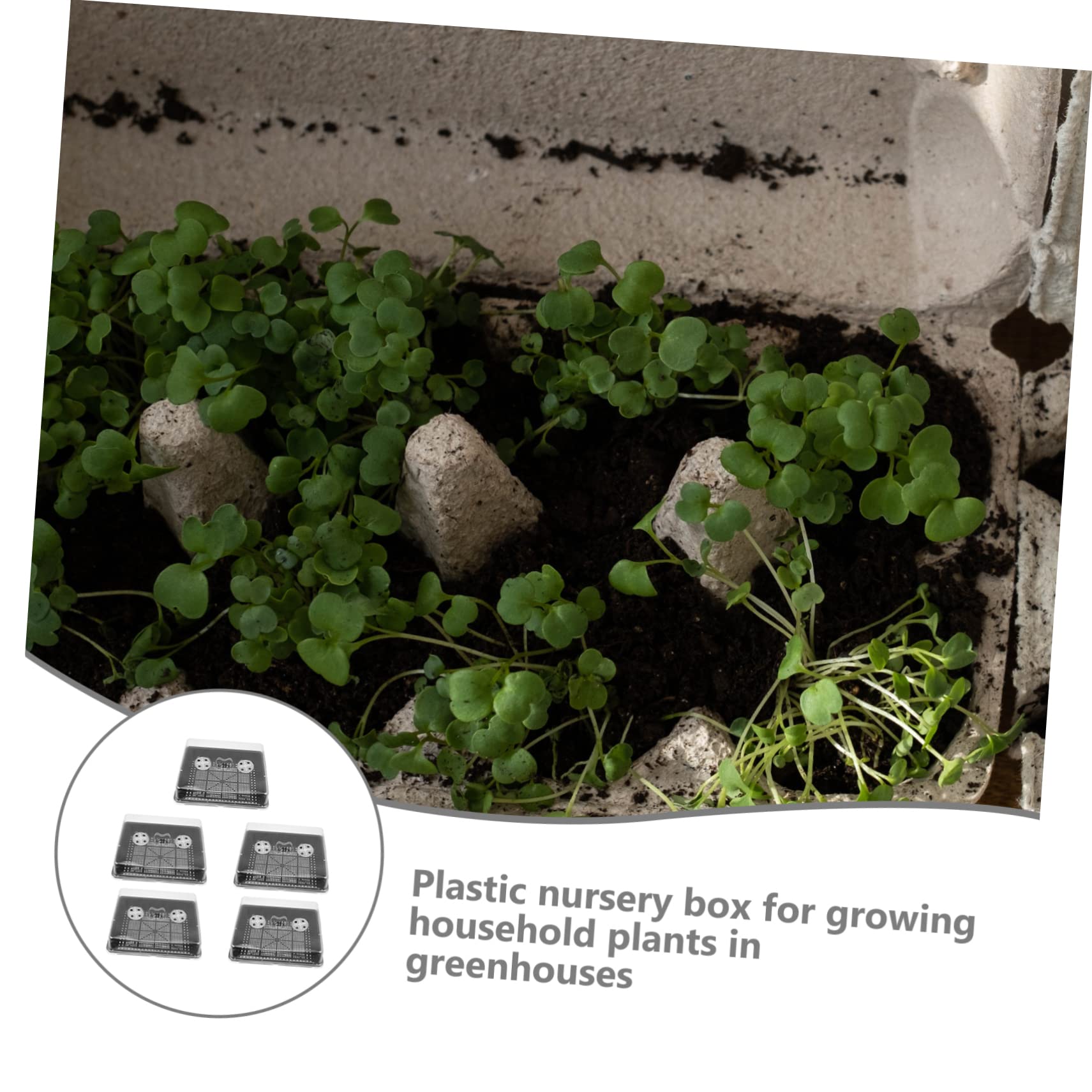 Toyvian 5sätze Anzuchtbox Pflanztopf Anzuchtschale Anzuchtbehälter Gartenbedarf für Blumen Gemüse Setzlinge mit Deckel zur Wärme und Feuchtigkeitsspeicherung