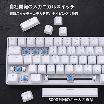 DIERYA DK68SE Gaming Mechanical Keyboard, Wired Connectivity, 65% Arrangement, 68 Keys, Blue Axis, Ice Blue Backlight, All Keys, No Collision, English Layout, Windows/Mac Compatible