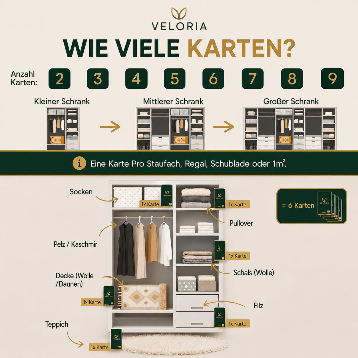 VELORIA Schlupfwespen gegen Kleidermotten - 36 Karten (6 Karten à 6 Lieferungen) - Effektiv Kleider Motten bekämpfen - Alternative zur Mottenfalle, Mottenspray, Pheromonfalle