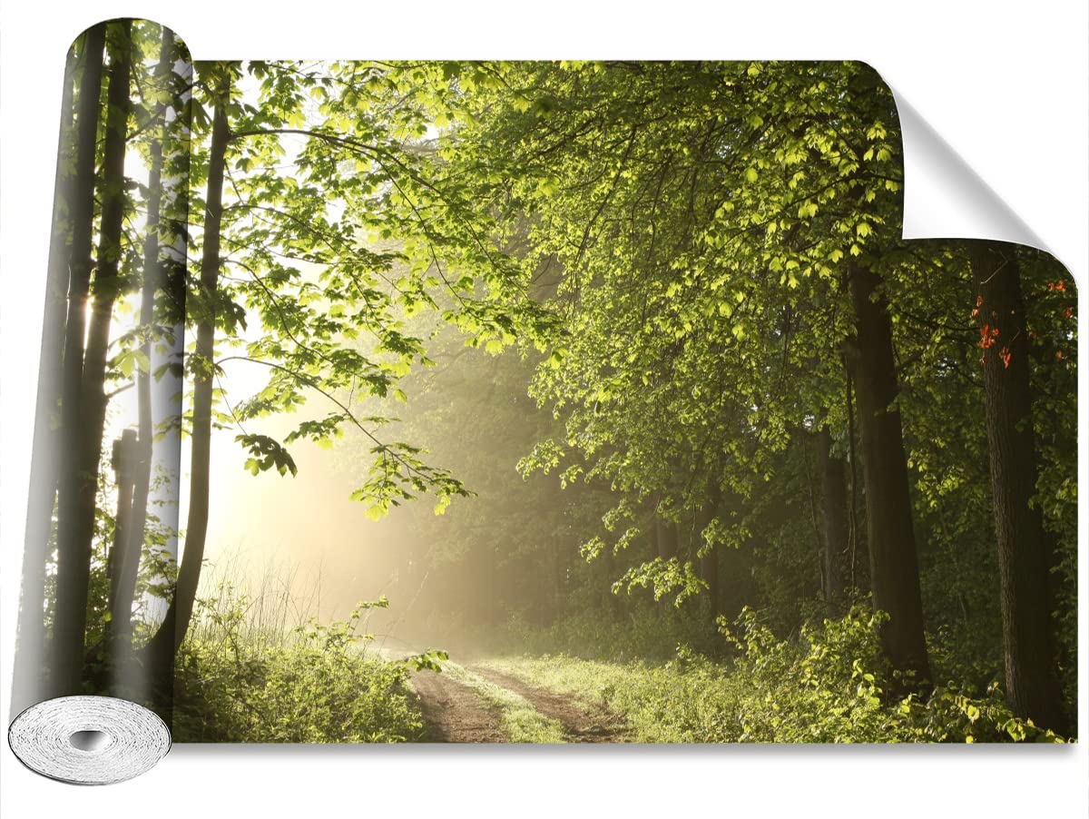 Papier Peint Grand Format pour agrandir une petite pièce sombre